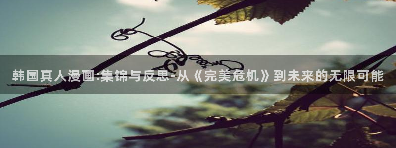 皮皮喵漫画怎么用